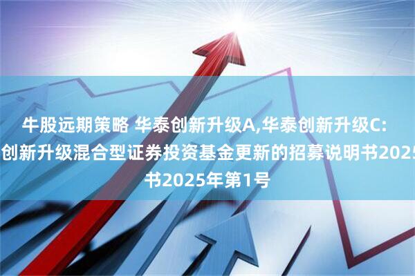 牛股远期策略 华泰创新升级A,华泰创新升级C: 华泰柏瑞创新升级混合型证券投资基金更新的招募说明书2025年第1号