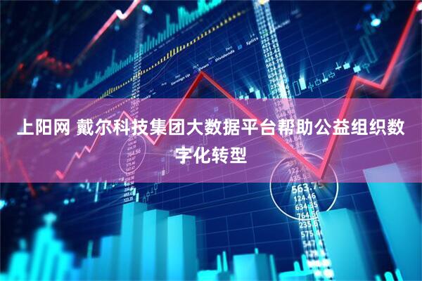 上阳网 戴尔科技集团大数据平台帮助公益组织数字化转型