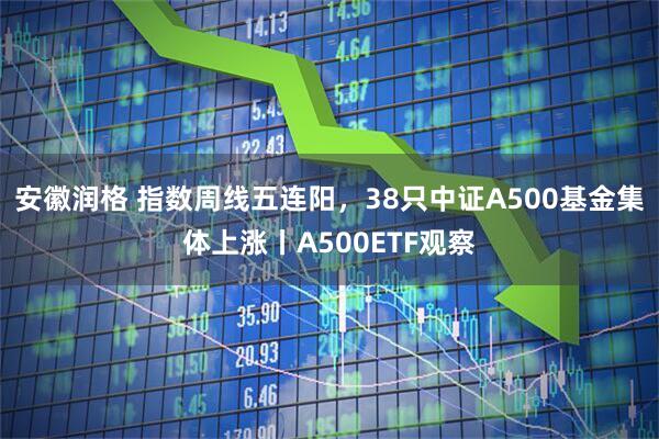 安徽润格 指数周线五连阳，38只中证A500基金集体上涨丨A500ETF观察