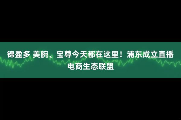 锦盈多 美腕、宝尊今天都在这里！浦东成立直播电商生态联盟