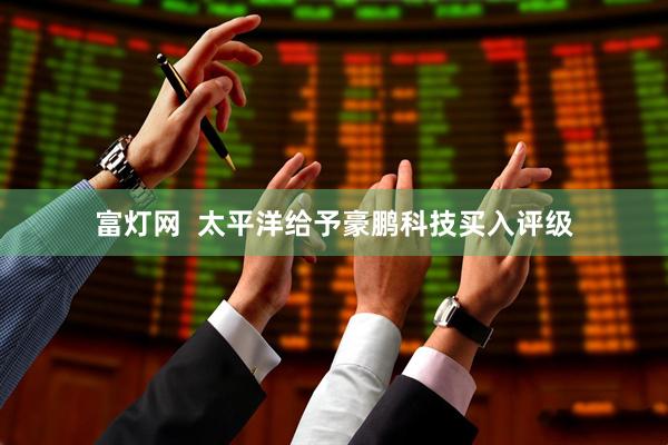 富灯网  太平洋给予豪鹏科技买入评级
