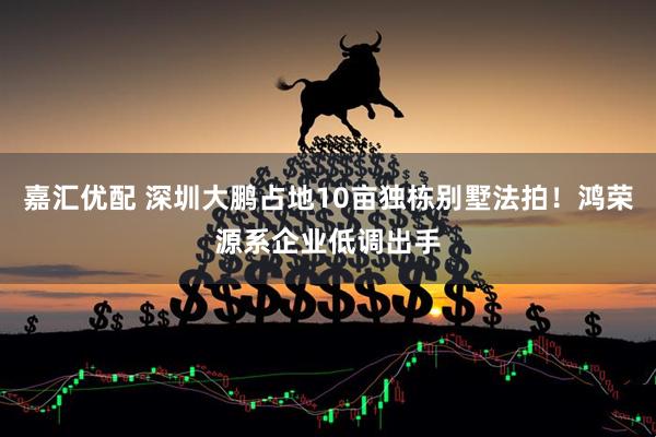 嘉汇优配 深圳大鹏占地10亩独栋别墅法拍！鸿荣源系企业低调出手